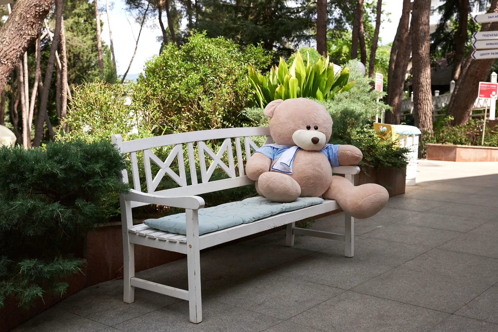 зелёная аллея скамейка мишка плюшевый