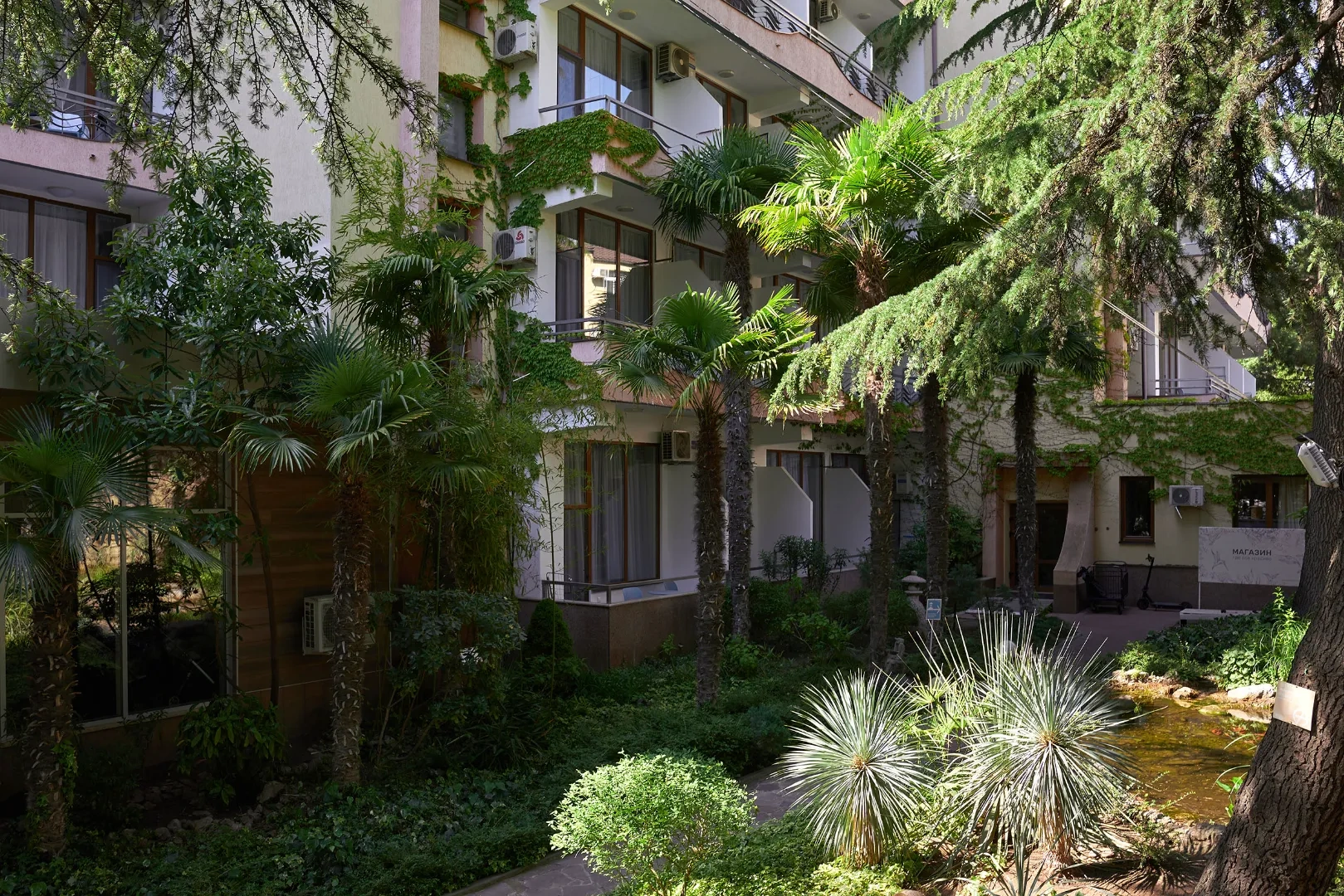 территория отеля пальмы отель