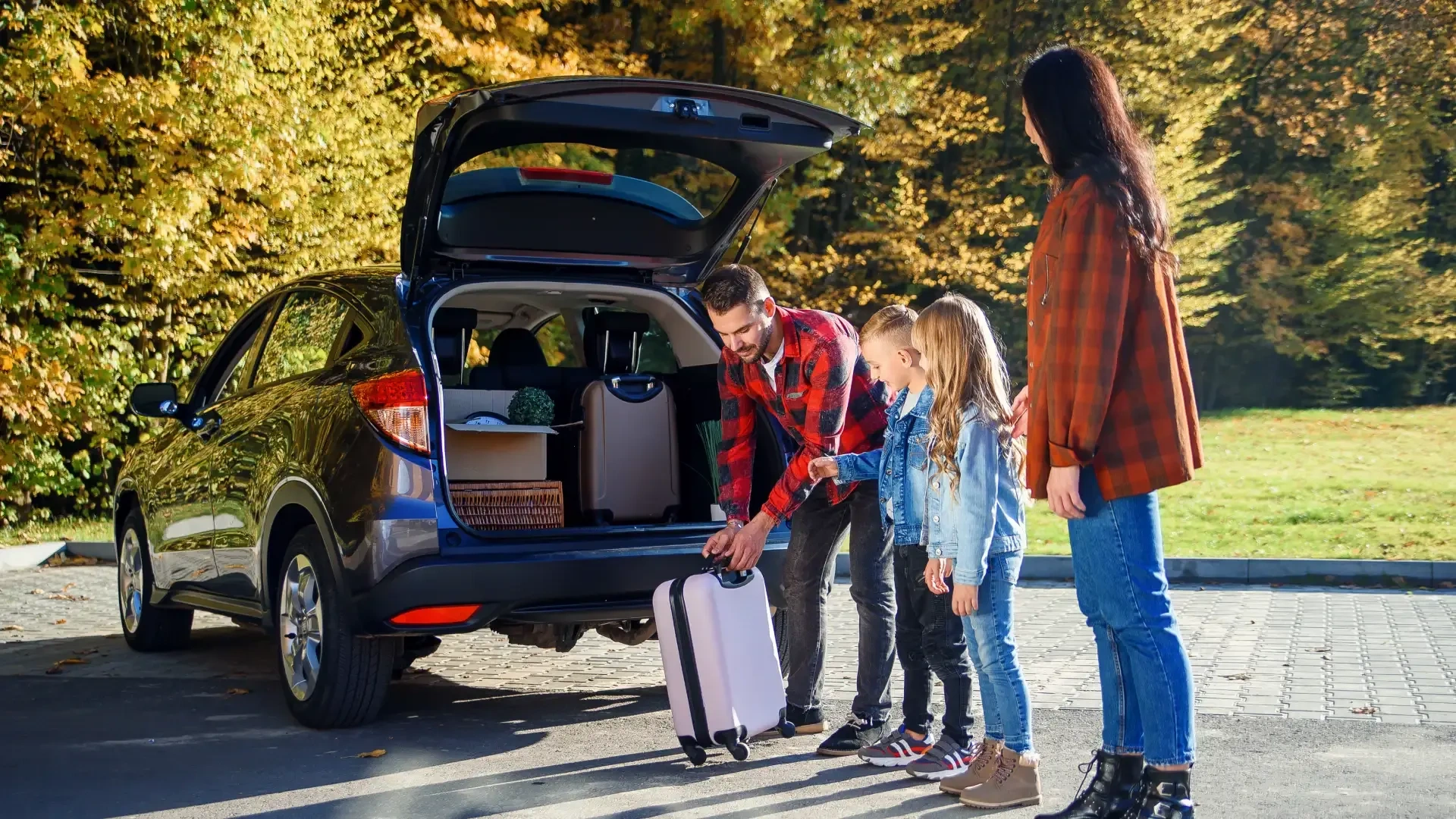 бесплатный трансфер