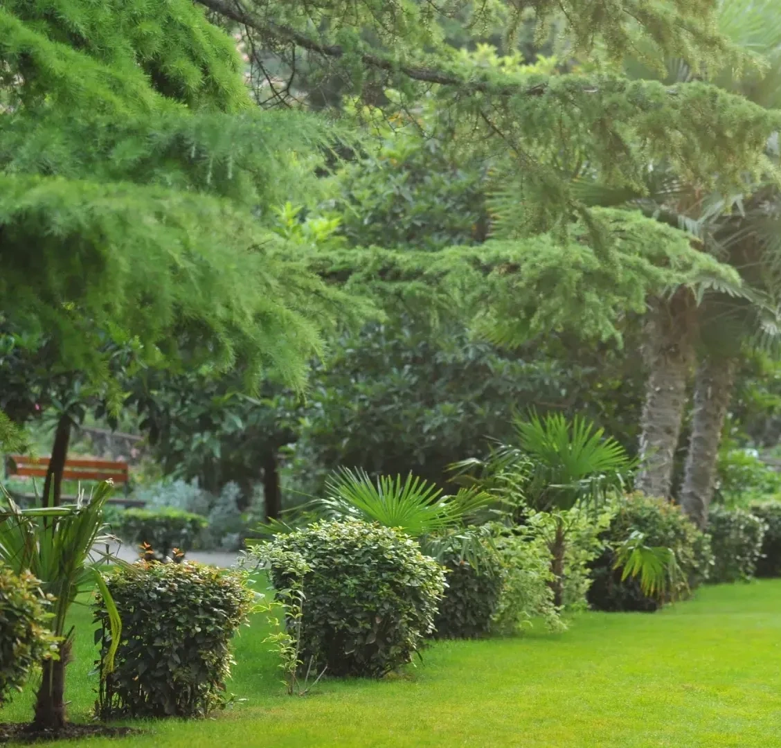 Реликтовый парк