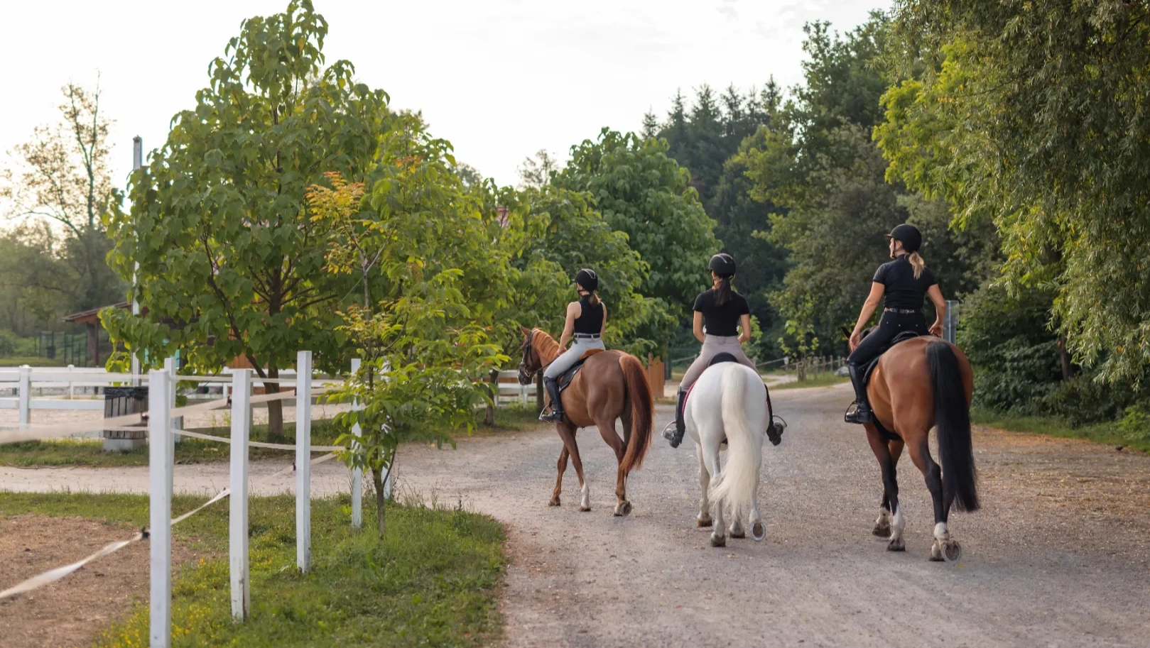 конные прогулки